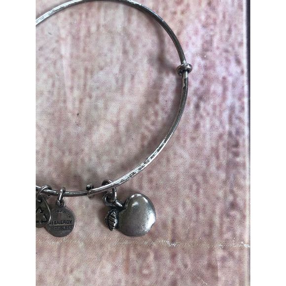 Alex & Ani Apple of Abundance bracelet - Picture 4 of 6